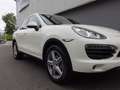 Porsche Cayenne Cayenne S 4.8L V8 2010 Perfect! (BTW AUTO) Blanc - thumbnail 14