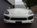 Porsche Cayenne Cayenne S 4.8L V8 2010 Perfect! (BTW AUTO) Blanc - thumbnail 7