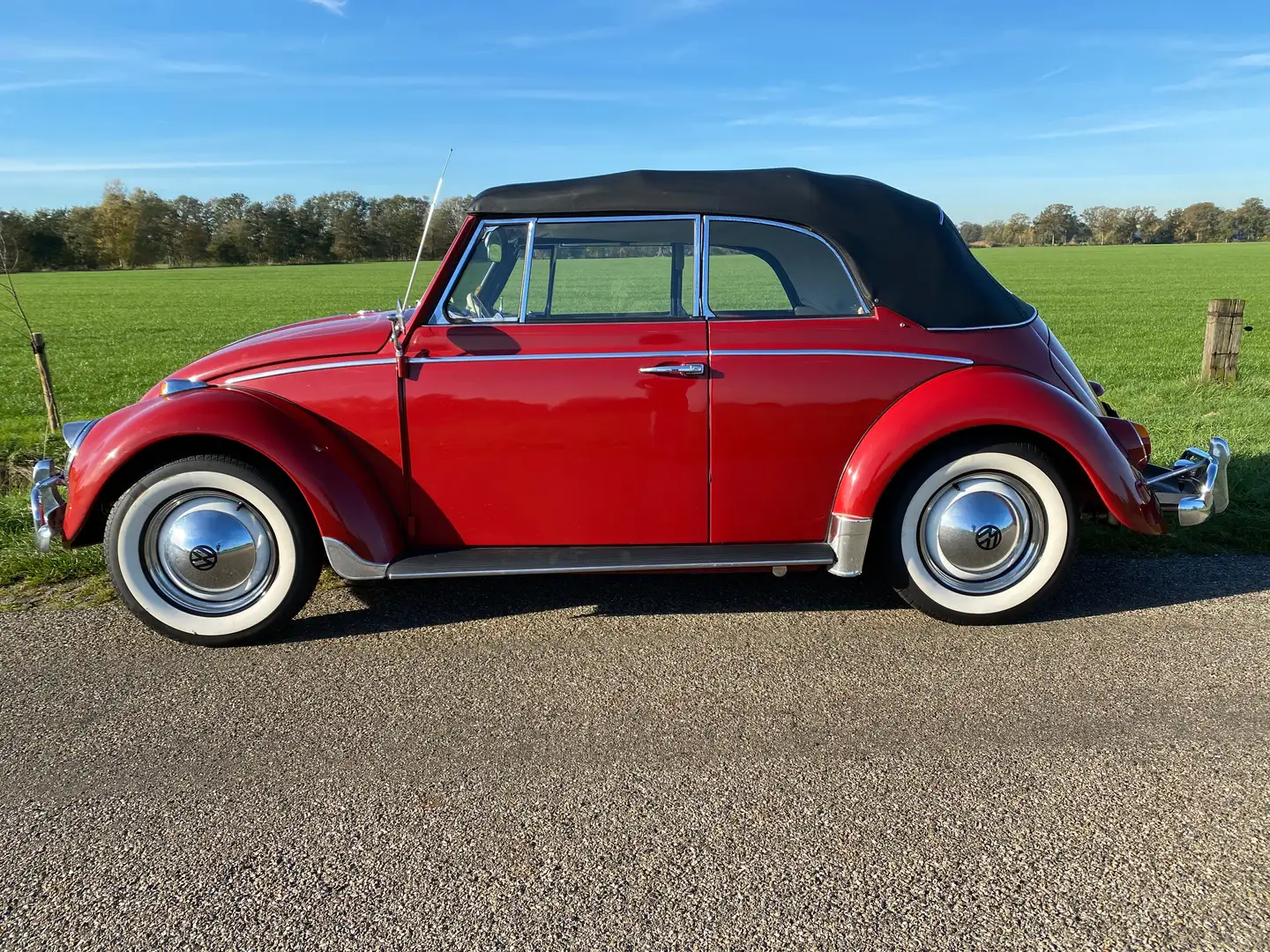 Volkswagen Käfer cabrio body off restauriert Roşu - 2