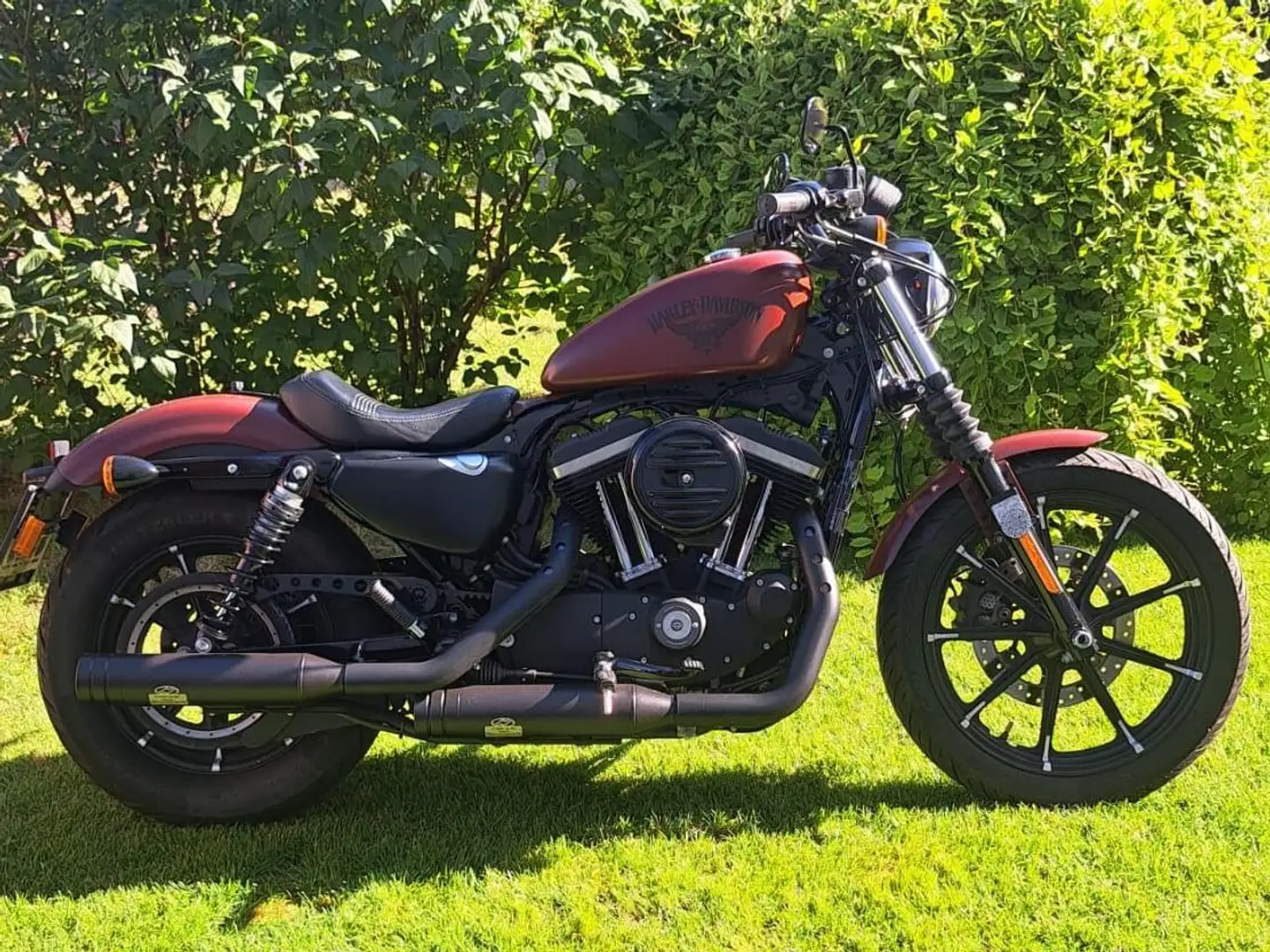 Harley-Davidson Sportster 883 Iron Rojo - 1