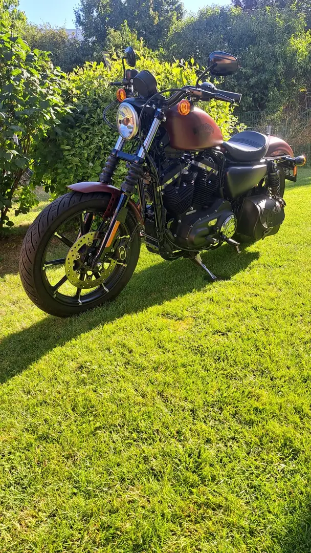 Harley-Davidson Sportster 883 Iron Rojo - 2