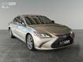 Lexus ES 300 h  Executive Line AUT+ACC+Navi+SHZ+LM Silber - thumbnail 8