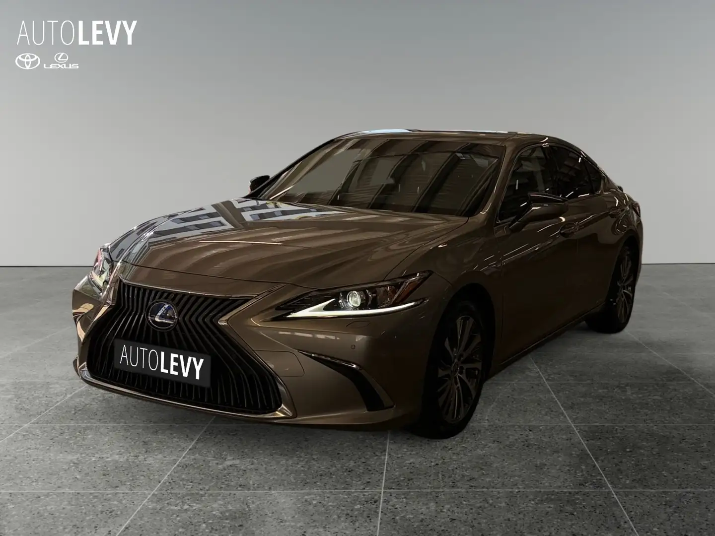 Lexus ES 300 h Executive Line AUT+ACC+Navi+SHZ+LM Silber - 2