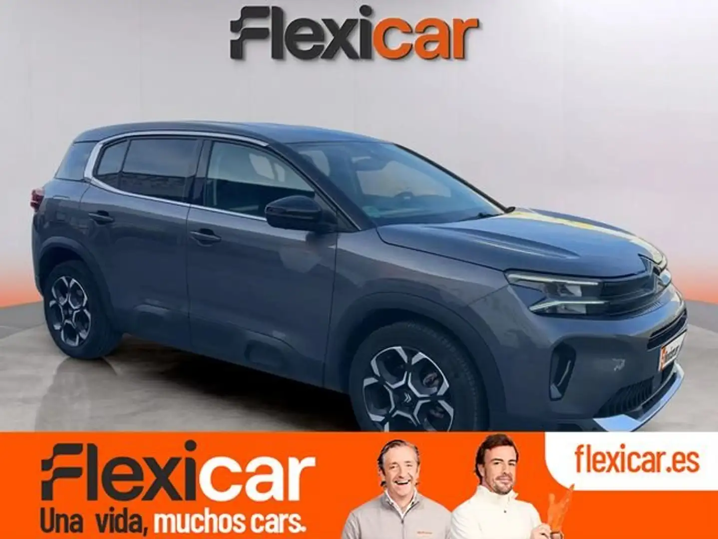 Citroen C5 Aircross PureTech S&S Plus 130 Gris - 1