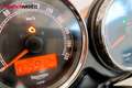 Triumph Bonneville T100 - thumbnail 12