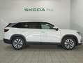 Skoda Kodiaq 1.5TSI m-HEV Selection 4x2 DSG 110kW Blanc - thumbnail 3