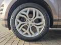 Land Rover Range Rover Evoque D180 R-Dynamic S Bronze - thumbnail 10