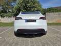 Tesla Model Y Model Y LR Dual Motor AWD + Ambientebeleuchtung ! Weiß - thumbnail 3