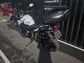 Triumph Tiger 1200 - thumbnail 1