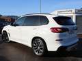 BMW X5 x45e M Sport SurView ACC LiveProf.Park+ AHK LED Weiß - thumbnail 4