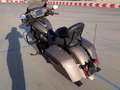 Indian Chieftain Negro - thumbnail 6