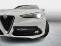Alfa Romeo Stelvio Super Blanc - thumbnail 13