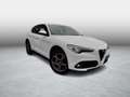 Alfa Romeo Stelvio Super bijela - thumbnail 12