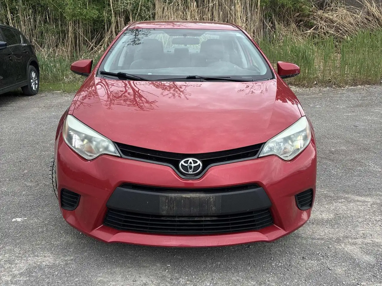 Toyota Corolla снимка Toyota Corolla