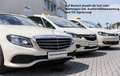 Toyota Corolla Touring Sports Hybrid TAXI SCHECKHEFTGEP Beige - thumbnail 23