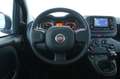 Fiat Panda 1.0 FireFly S&S Hybrid NEOPATENTATI Schwarz - thumbnail 10