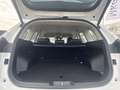 GWM HAVAL H6 1.5 HEV DHT Premium App-Navi Kamera LED Weiß - thumbnail 28