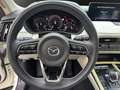 Mazda CX-60 PHEV TAKUMI PANORAMA LEDER BOSE Weiß - thumbnail 9