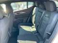 Alfa Romeo Tonale 1.5 Sprint 2xKlima ACC AUT DynLicht Kam. - thumbnail 9