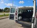 Renault Trafic T27 1.6 dCi 120CV S&S PC-TN 6 POSTI N1 Wit - thumbnail 6