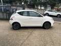 Lancia Ypsilon Ypsilon 1.0 FireFly 5 porte S&S Hybrid Oro Bianco - thumbnail 6