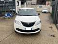 Lancia Ypsilon Ypsilon 1.0 FireFly 5 porte S&S Hybrid Oro Bianco - thumbnail 8