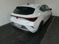 CUPRA Leon 1.5 TSI 150 PS ACT Weiß - thumbnail 20