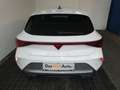 CUPRA Leon 1.5 TSI 150 PS ACT Weiß - thumbnail 19
