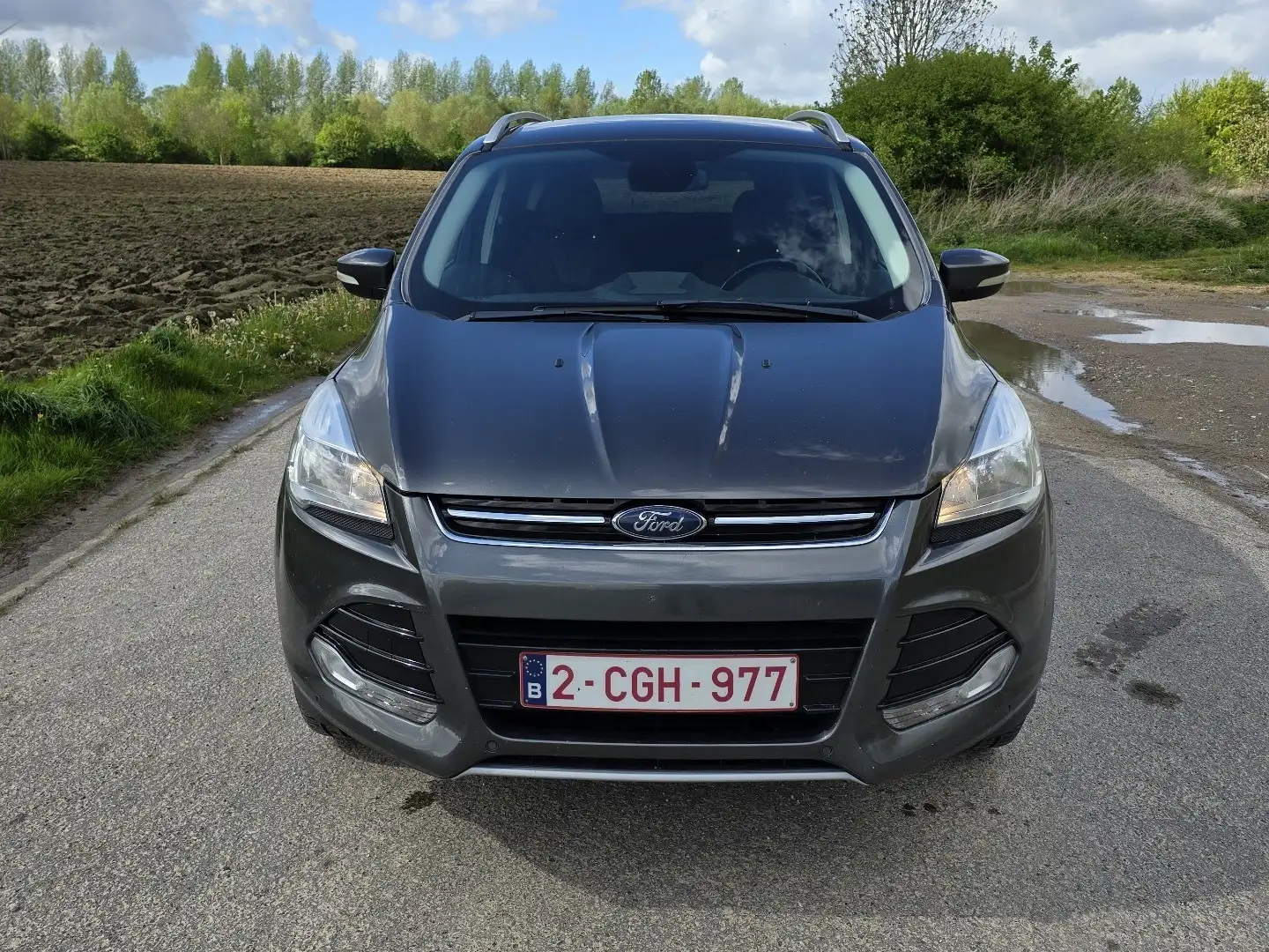 Ford Kuga 1.5 EcoBoost FWD Titanium S/S Grijs - 1