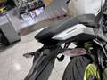 Benelli Tornado 550 Alb - thumbnail 5
