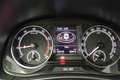 Skoda Fabia Combi 1.0 TSI 96 PK Business Edition+ Climate Carp Grijs - thumbnail 19