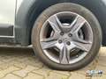 Dacia Dokker Stepway 1.2 Celebration Navi SHZ Weiß - thumbnail 6