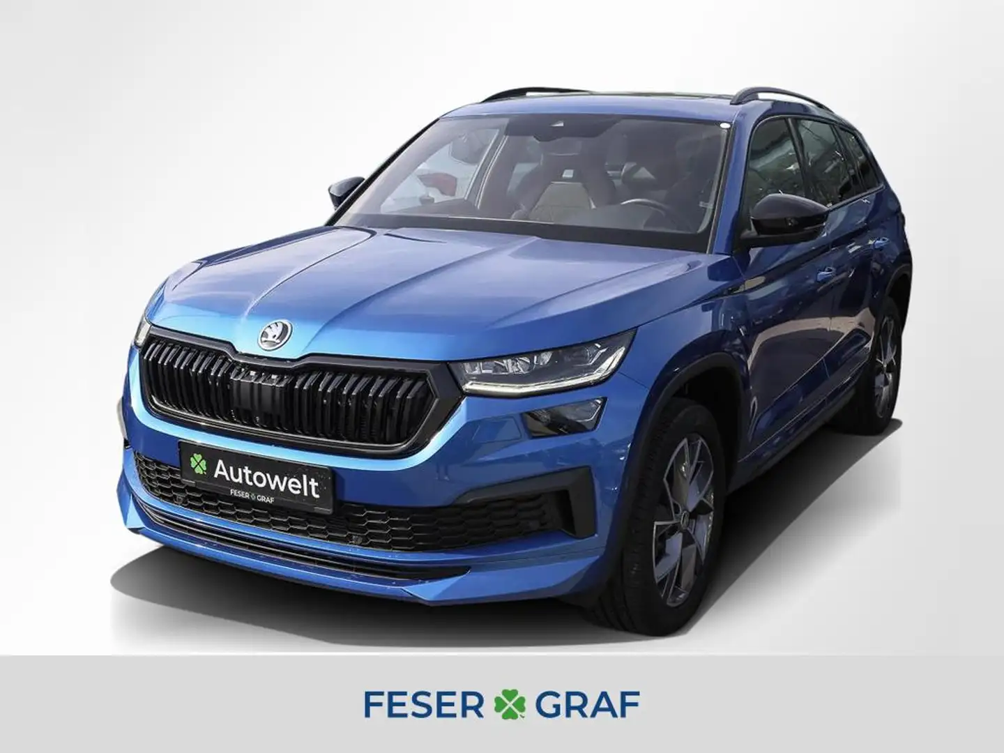 Skoda Kodiaq 2.0 TDI 4x4 Sportline DSG AHK Matrix Pano Blau - 1