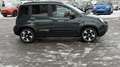 Fiat Sonstige Pandina FireFly Hybrid 70 Cross Grün - thumbnail 6