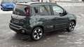 Fiat Sonstige Pandina FireFly Hybrid 70 Cross Grün - thumbnail 5