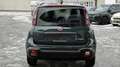 Fiat Sonstige Pandina FireFly Hybrid 70 Cross Grün - thumbnail 4