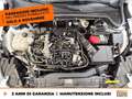 Ford Focus active 1.0 ecoboost h x 125cv powershift Bianco - thumbnail 11
