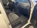 Toyota Land Cruiser Landcruiser AHV*elSitze*Kamera Weiß - thumbnail 18