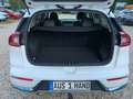 Kia Niro Vision Plug-in Hybrid *1.Hand *Scheckheft Bílá - thumbnail 14