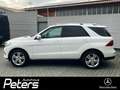 Mercedes-Benz GLE 400 GLE 400 4Matic ILS/AHK ILS/AHK/Distronic Weiß - thumbnail 2