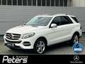 Mercedes-Benz GLE 400 GLE 400 4Matic ILS/AHK ILS/AHK/Distronic Weiß - thumbnail 1