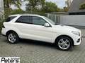 Mercedes-Benz GLE 400 GLE 400 4Matic ILS/AHK ILS/AHK/Distronic Weiß - thumbnail 20