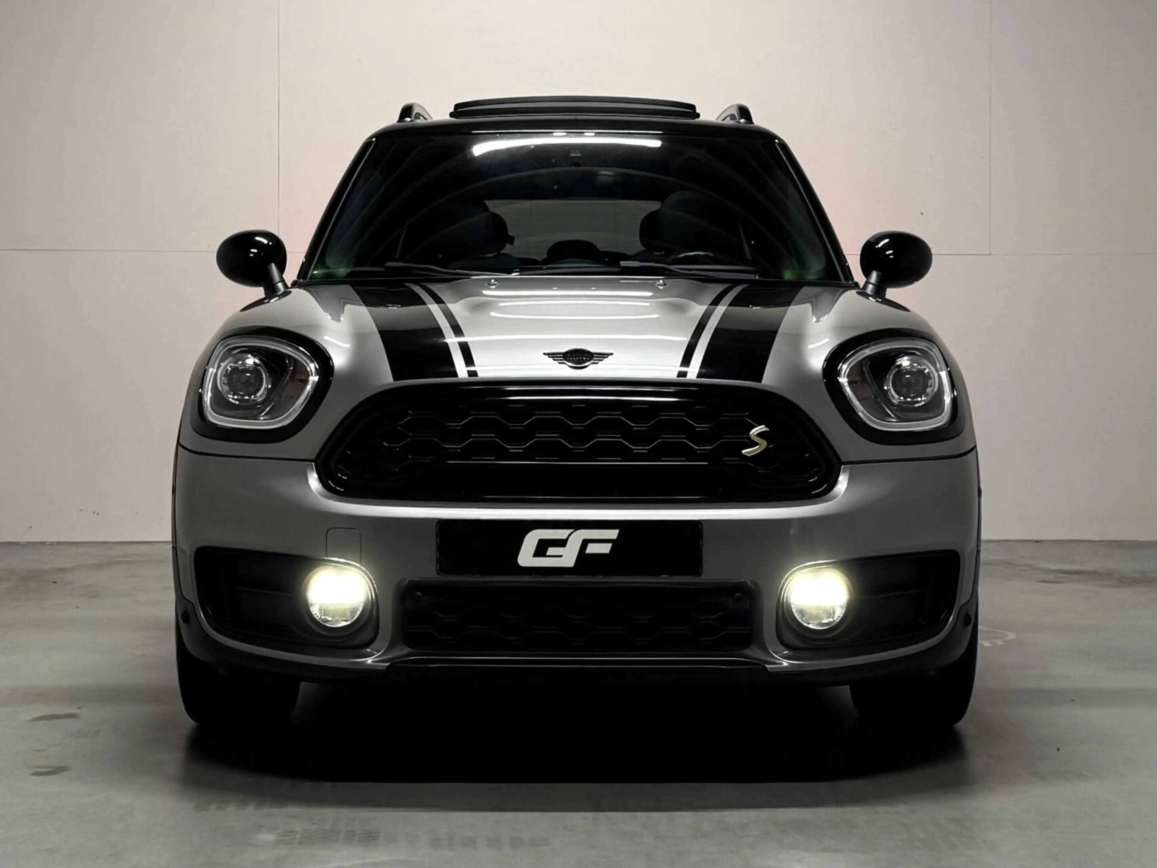 MINI Cooper SE Countryman 1.5 ALL4 Pano CarPlay ACC Sfeer NAP — photo 12
