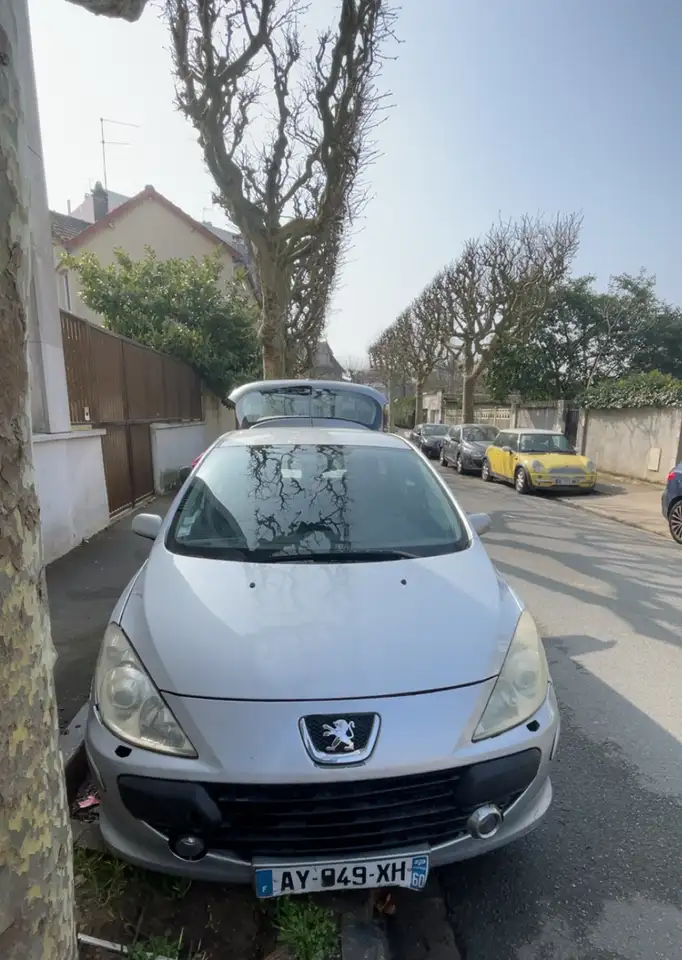 Peugeot 307 2.0i 16V XS Premium