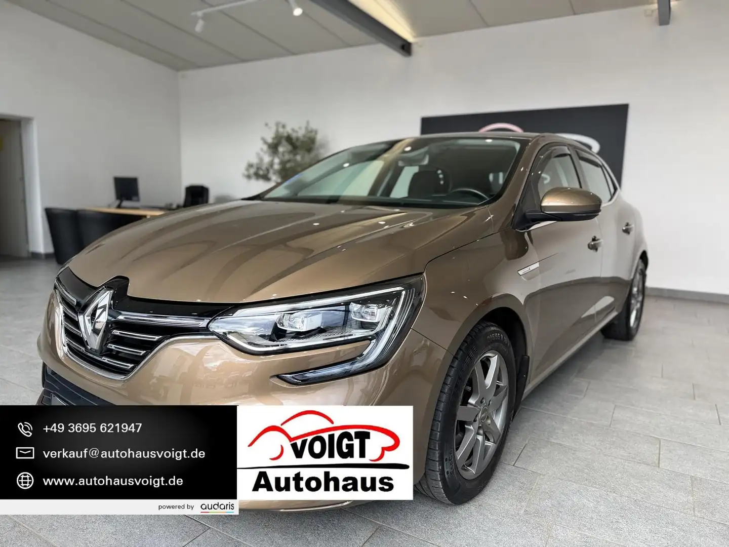 Renault Megane TCe 130 Intens LED Navi Leder Braun - 1