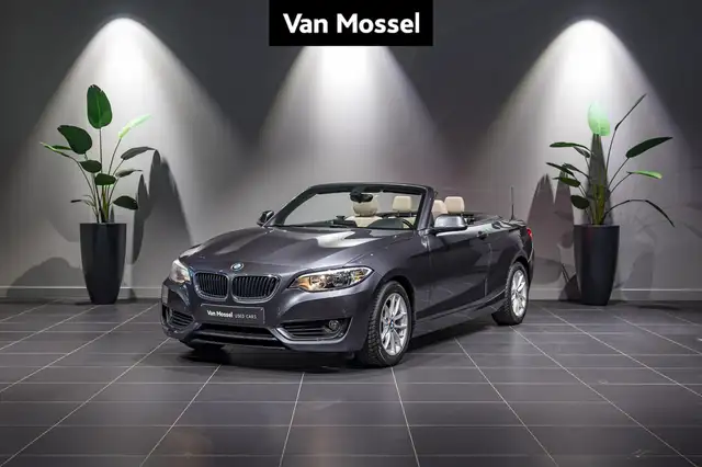BMW 218 2-serie Cabrio 218i PDC | LEDER