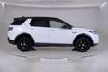 Land Rover Discovery Sport I 2020 Diesel 2.0d i4 mhev S awd 150cv auto AUTOC - thumbnail 5