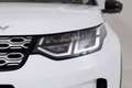 Land Rover Discovery Sport I 2020 Diesel 2.0d i4 mhev S awd 150cv auto AUTOC - thumbnail 20