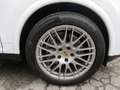 Porsche Cayenne Cayenne 3.0 tiptronic PARI AL NUOVO *98.000 KM* Bianco - thumbnail 4