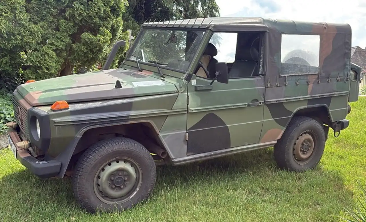 Mercedes-Benz G 250 250 GD, foto 2